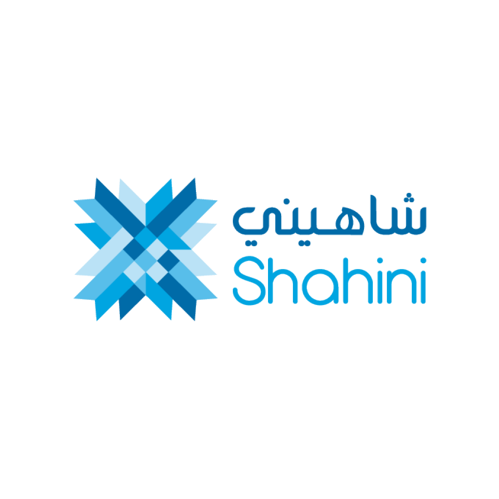 Shahini Group